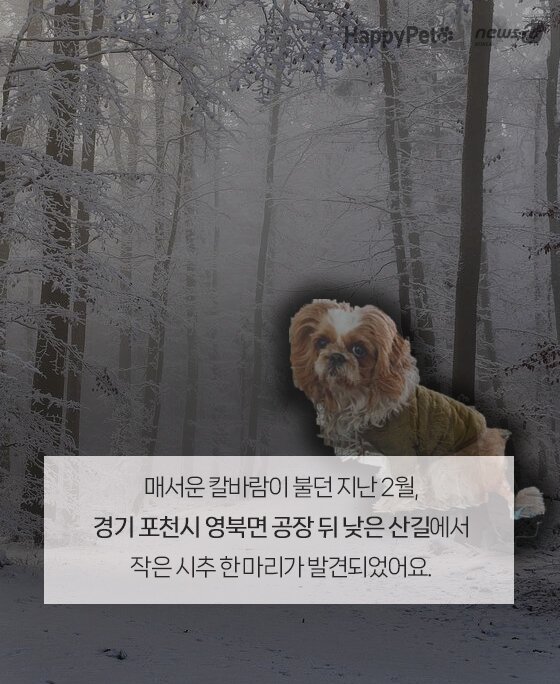본문 이미지 -  