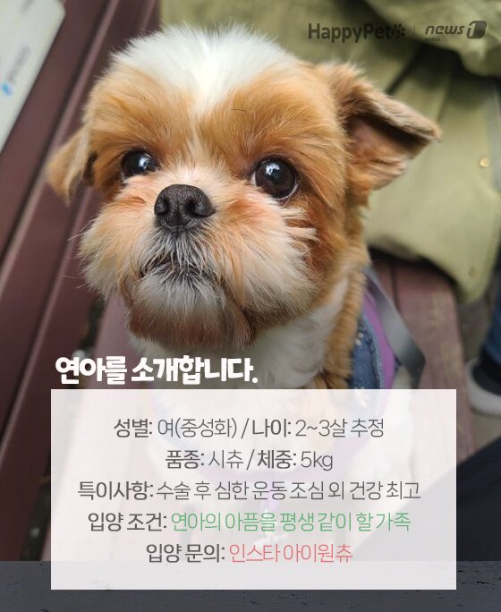 본문 이미지 -  