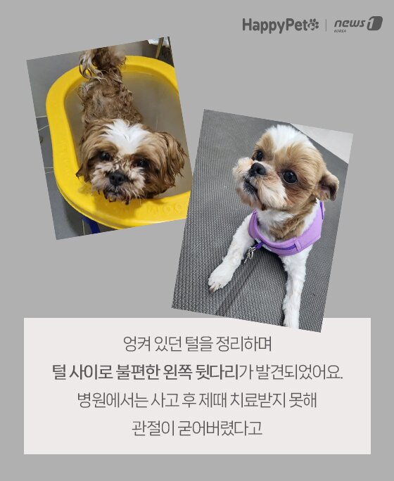 본문 이미지 -  