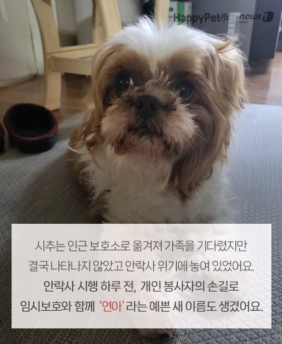 본문 이미지 -  