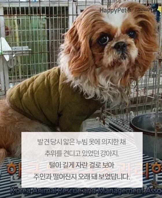 본문 이미지 -  