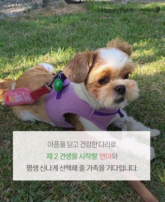 본문 이미지 -  