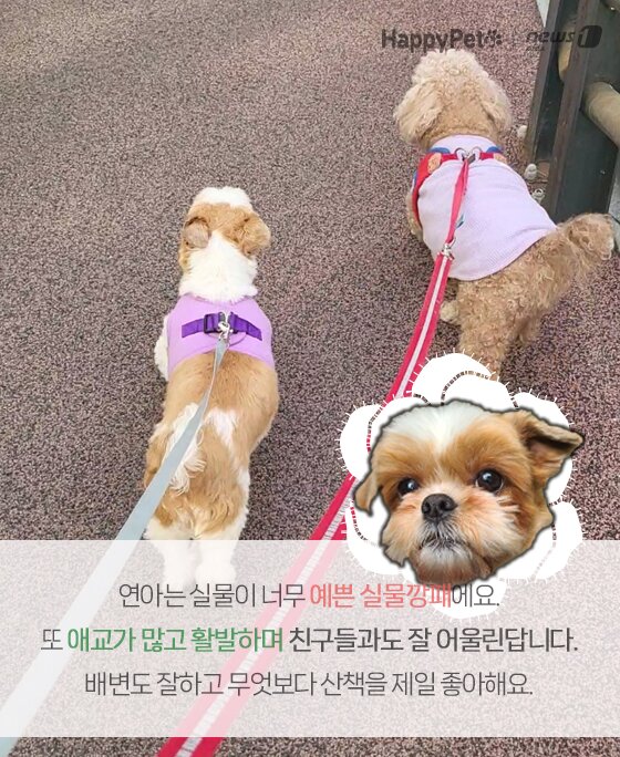 본문 이미지 -  
