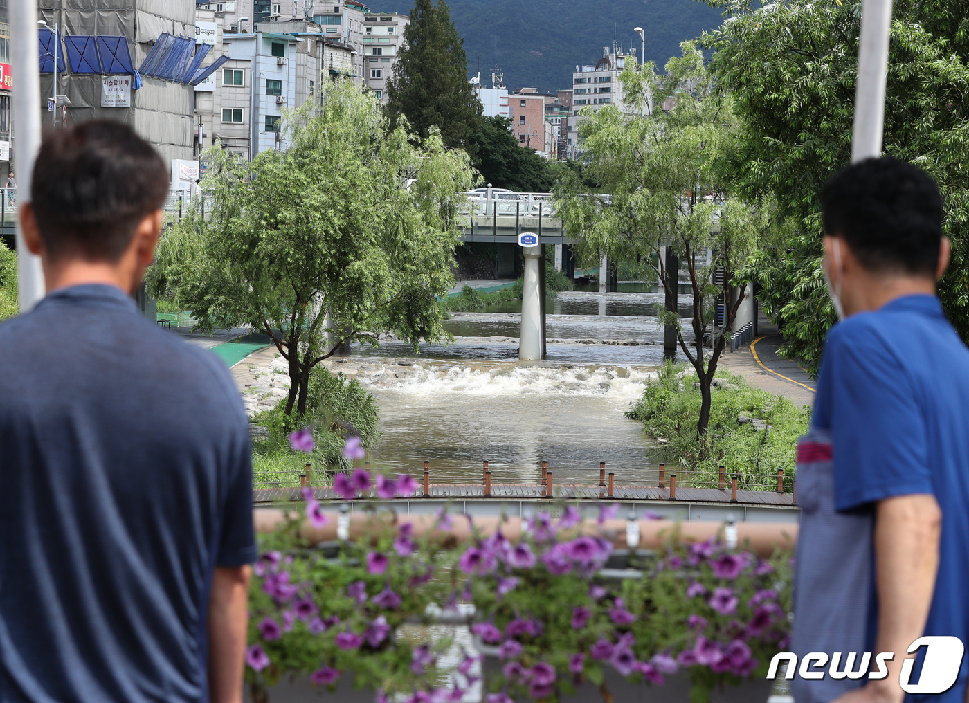 (서울=뉴스1) 신웅수 기자 = 서울 지역에 호우주의보가 내려진 9일 서울 관악구 도림천 출입이 통제되고 있다.서울시는 이날 오전부터 청계천과 도림천, 우이천 등 관내 13개 하천 …