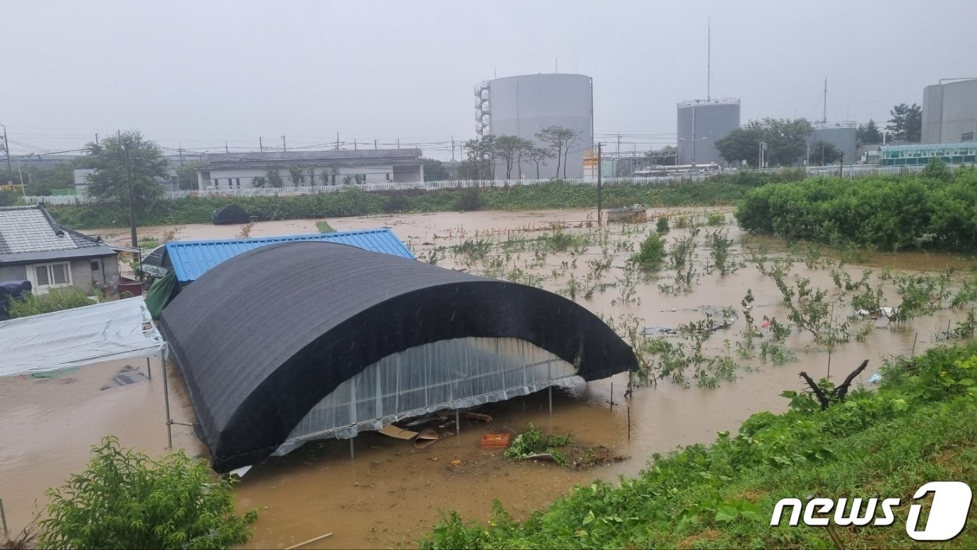 제6호 태풍 &#39;카눈&#39;이 상륙한 10일 오전 9시45분쯤 대구 수성구 성동 비닐하우스가 물에 잠겨 소방대원이 장비를 동원해 물을 빼고 있다. &#40;대구소방안전본부 제공&#41; 2023.8.10/뉴스1 ⓒ News1 이성덕 기자