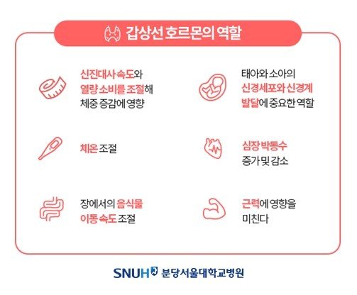 본문 이미지 - (분당서울대병원 제공)