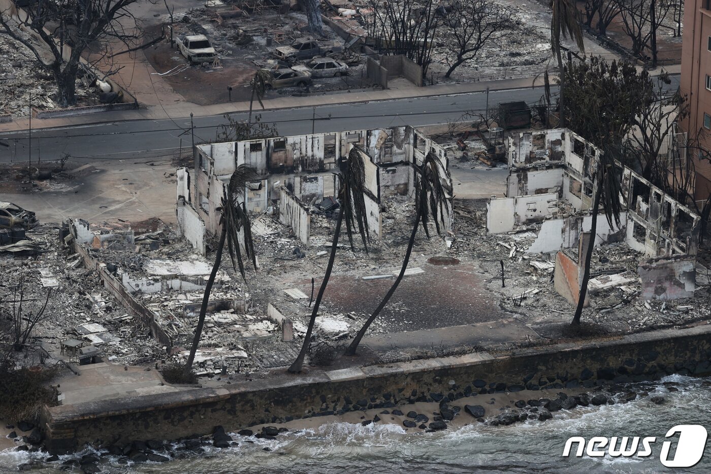 본문 이미지 - 10일(현지시간) 미국 하와이 라하이나 지역을 덮친 산불로 해변가의 야자수가 검게 타고 주변 건물들이 파괴됐다. 2023.08.11/ ⓒ 로이터=뉴스1 ⓒ News1 김형준 기자