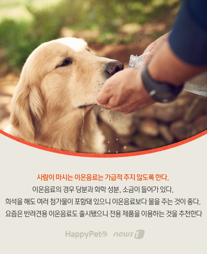 본문 이미지 - 수분 펫카드 ⓒ 뉴스1