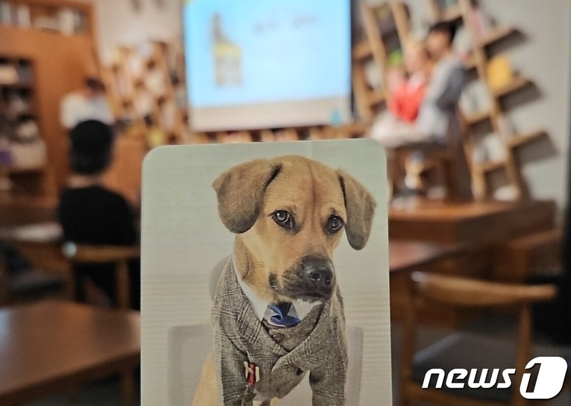 본문 이미지 - 5일 동그람이 주최 '올드독X귤엔터' 북토크에서 구낙현·김윤영 작가가 오렌지 입양 홍보를 하고 있다. ⓒ 뉴스1 최서윤 기자