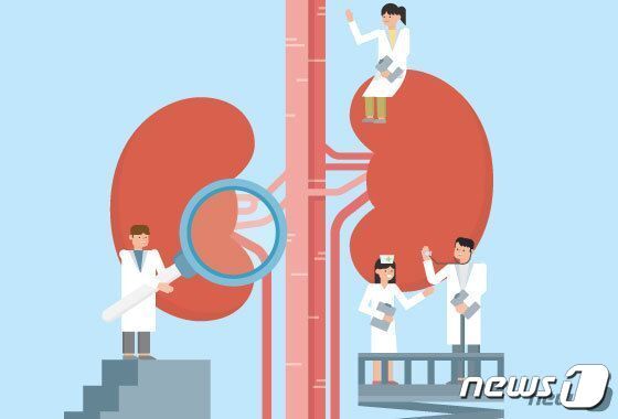 본문 이미지 - ⓒ News1 DB