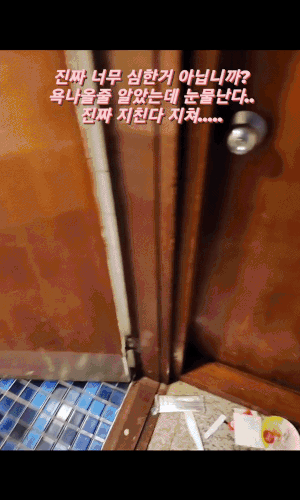 본문 이미지 - (정정아 인스타그램 갈무리)