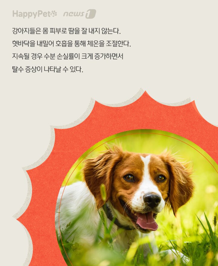 본문 이미지 - 윤주희 디자이너