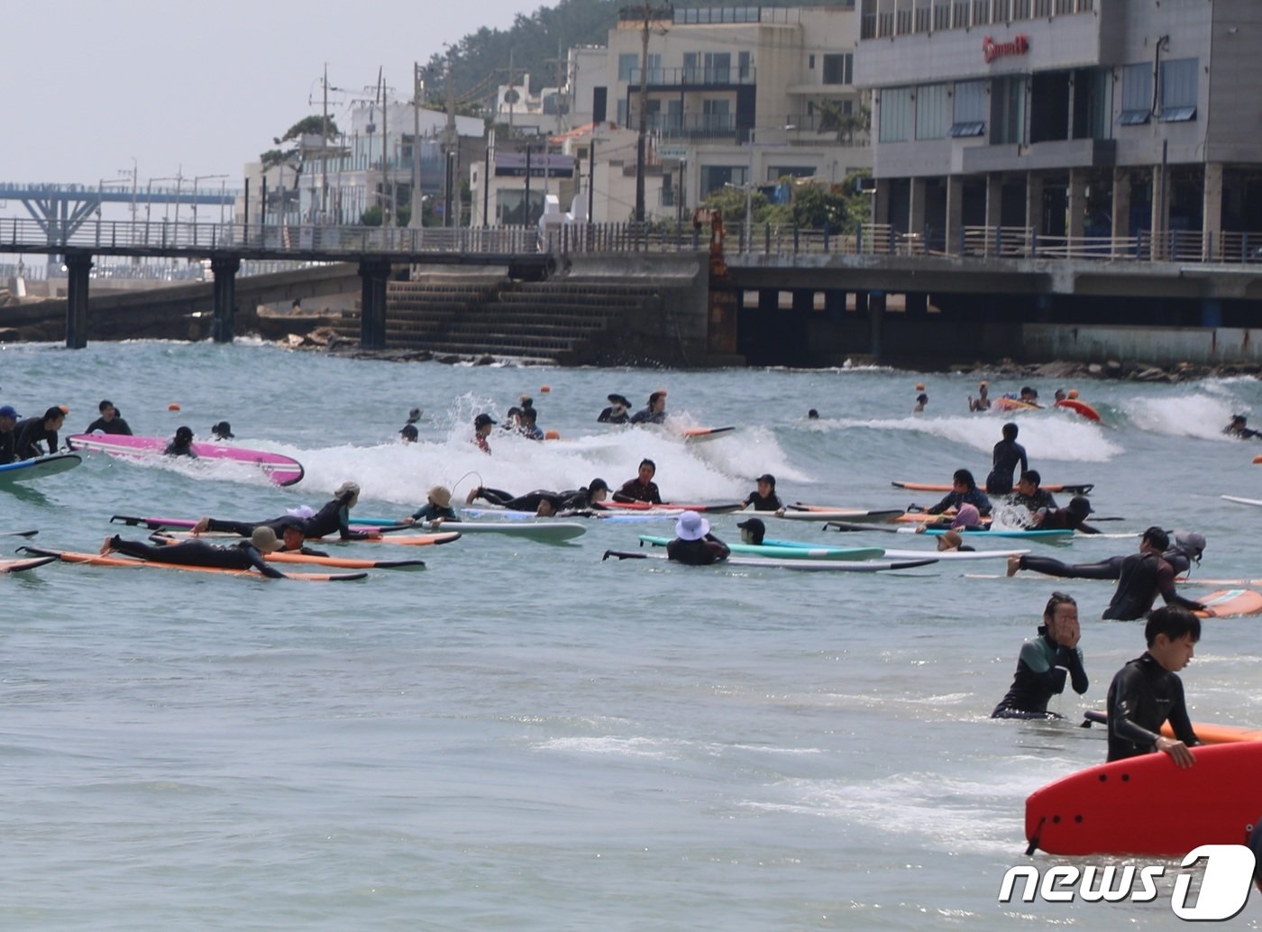 폭염주의보가 발효된 13일 낮 12시께 부산 해운대구 송정해수욕장에서 피서객들이 서핑을 즐기고 있다. 2023.8.13 ⓒ News1 노경민 기자