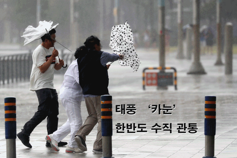본문 이미지 -  