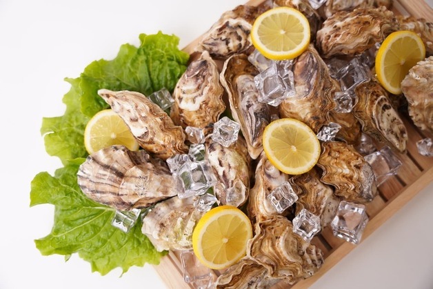 신안 '1004굴' 홍콩 수출 본격화…글로벌 진출 가속