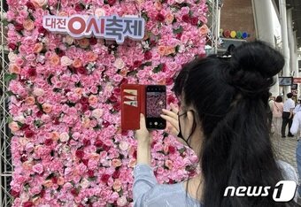 본문 이미지 - 으능정이 거리에 설치된 포토존 로즈월.(대전시 제공)/뉴스