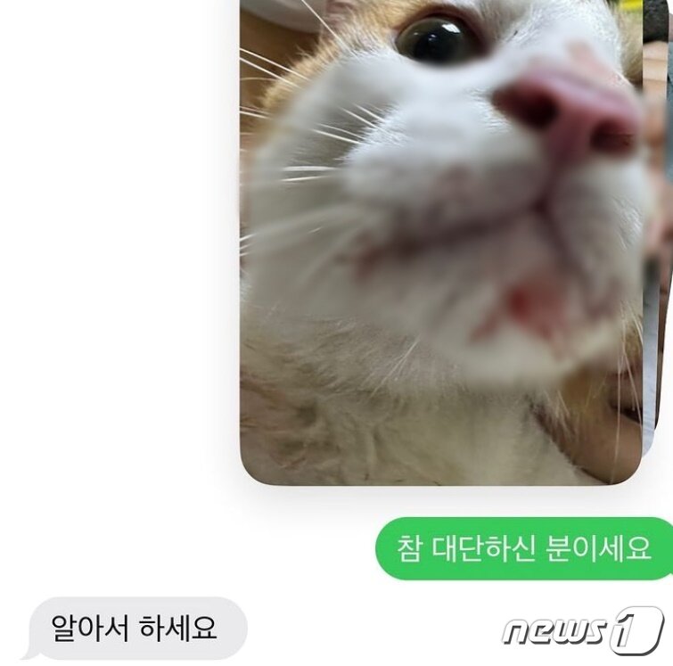 본문 이미지 - (인스타그램 갈무리)