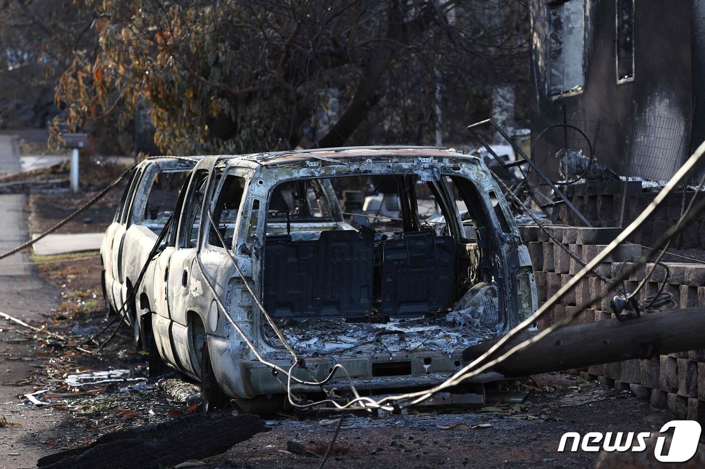 본문 이미지 - 16일(현지시각) 산불 참사가 휩쓴 하와이 마우이 섬 라하이나에서 시커멓게 불 탄 주택과 차량이 보이고 있다. 2023.8.17 ⓒ AFP=뉴스1 ⓒ News1 우동명 기자