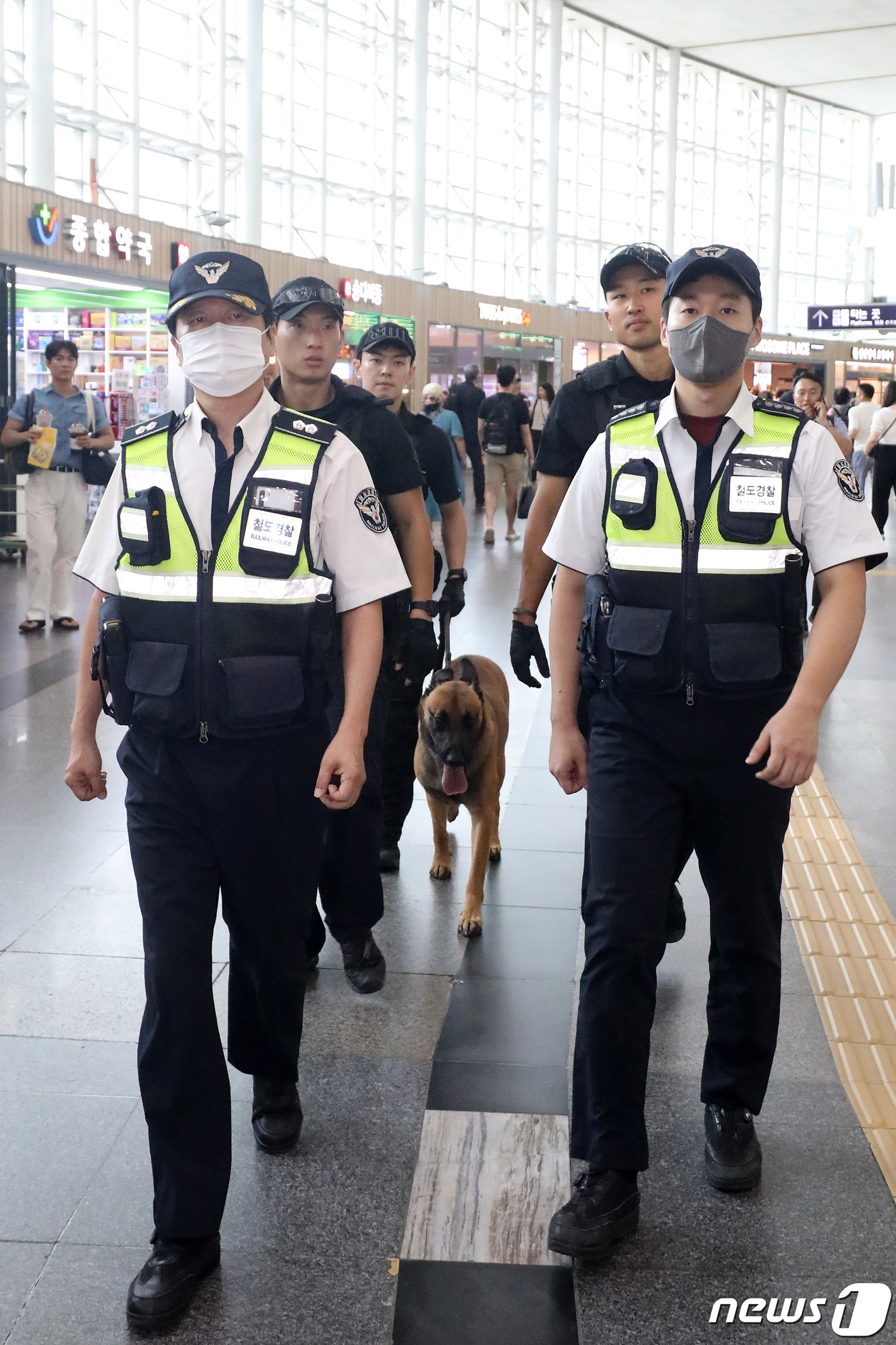(대구=뉴스1) 공정식 기자 = '고속철도 시설을 폭파하겠다'는 내용의 이메일이 외교부에 전달된 것으로 알려진 17일 오전 대구 동구 동대구역에서 경찰특공대와 폭발물 탐지견, 철도 …