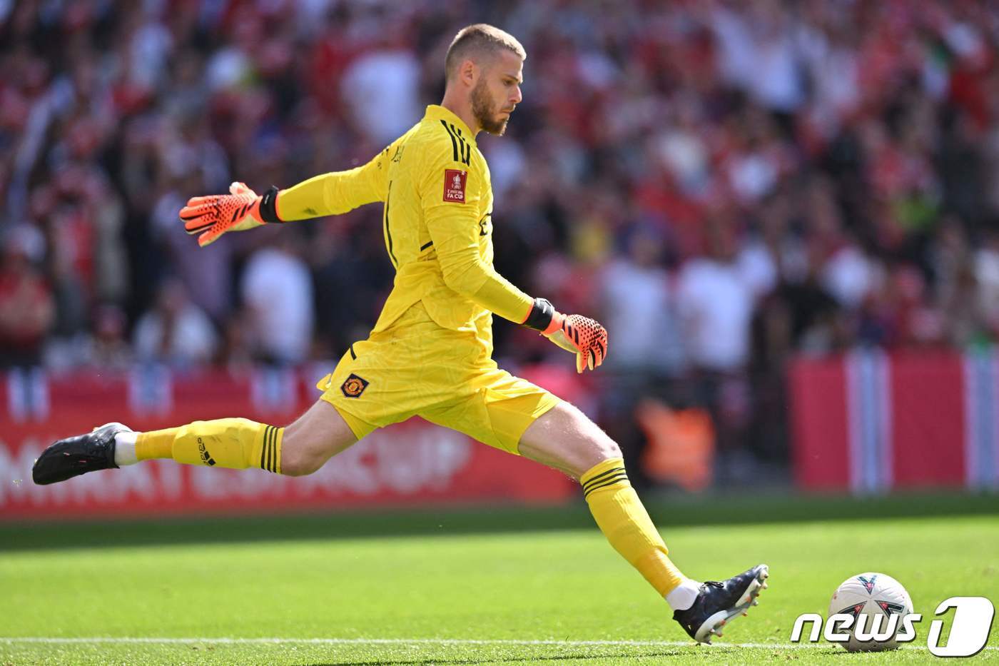 본문 이미지 - 다비드 데헤아 골키퍼. ⓒ AFP=뉴스1