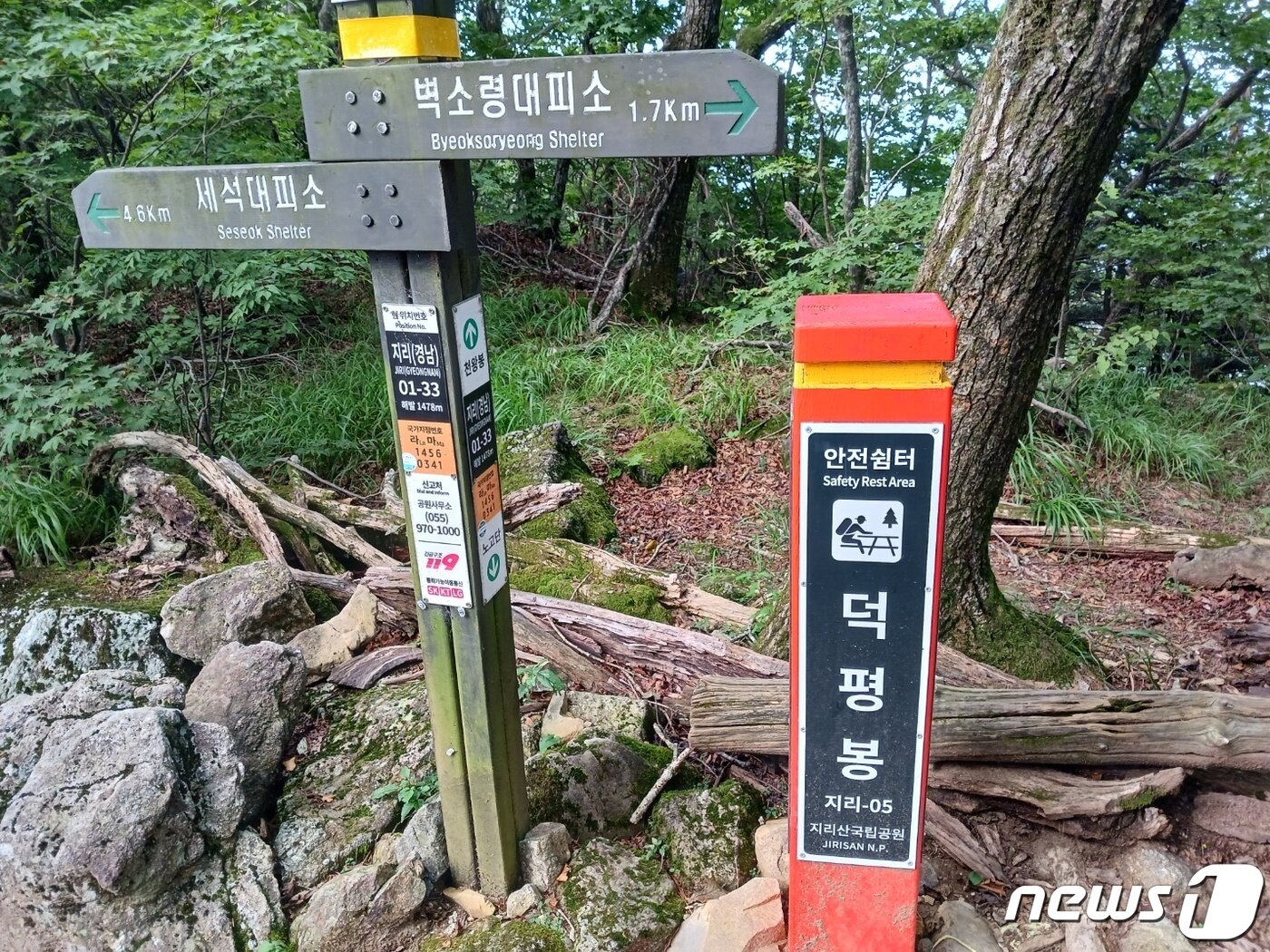 본문 이미지 - 산행 안내판에 '00봉'이 나타나면 '어휴 저걸 또 어떻게 넘나'하는 걱정이 앞선다. 덕평봉은 이름처럼 순한 언덕이다. 올라오는 길도 험하지 않았고 정상도 평지에 가까웠다ⓒ 뉴스1