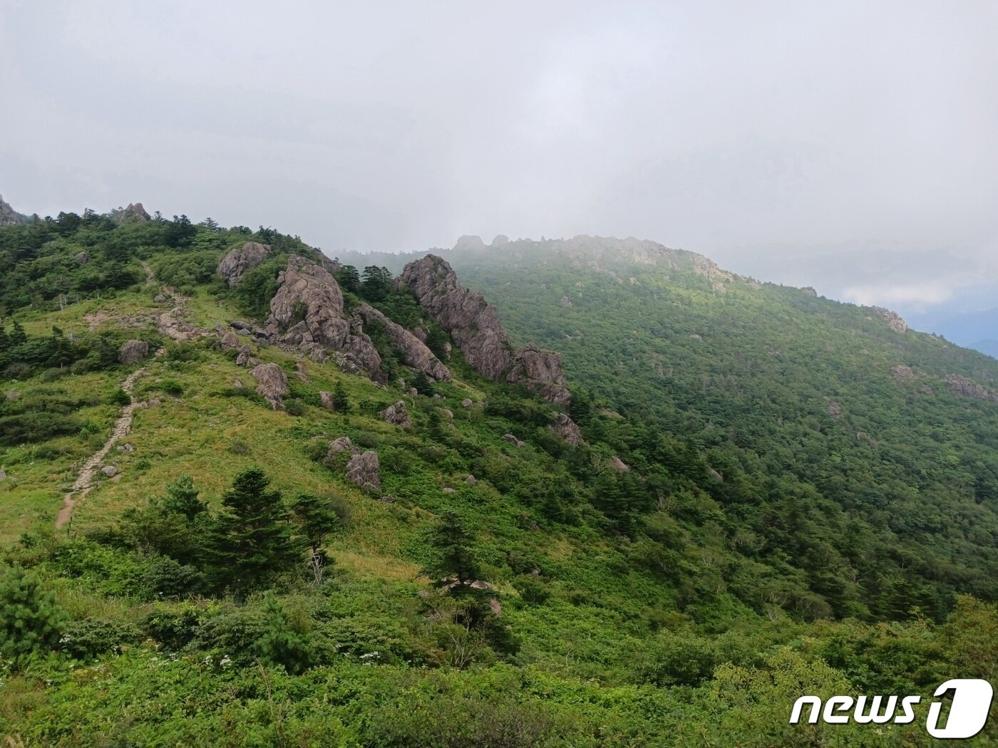 본문 이미지 - 지리 10경의 하나인 연하선경.  벼랑과 고사목, 구름과 안개, 순하고 한적한 길,  이 모든 것들이  포만감을 느끼게 하는 곳이다.ⓒ 뉴스1