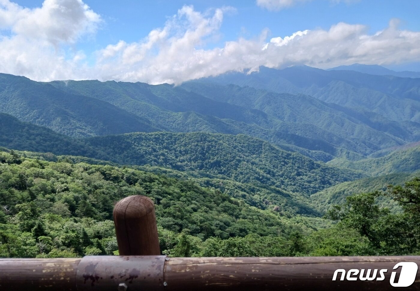 본문 이미지 - '사색의 길'에서 바라본 지리산 남서쪽 방향. 장대한 주 능선 못지않게 유장([悠長) 하다. 짐작건대 산자락 너머엔 하동이나 구례가 있을 것이다ⓒ 뉴스1