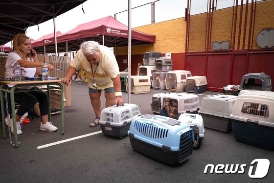 17일(현지시간) 스페인 카나리아섬 테네리페에서 산불이 발생했다. 동물 관련 협회 직원들이 주민의 반려동물을 보호하기 위해 접수·등록 작업을 진행 중이다. 2023.08.17/ © AFP=뉴스1 © News1 권진영 기자