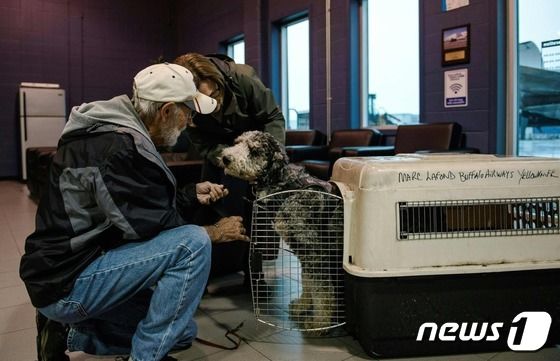 18일(현지시간) 산불로 대피령이 내려진 캐나다 옐로우나이프에서 항공기를 타고 떠난 아빠와 아들이 반려견 로스코와 재회하는 순간. 2023.08.18/ © AFP=뉴스1 © News1 권진영 기자