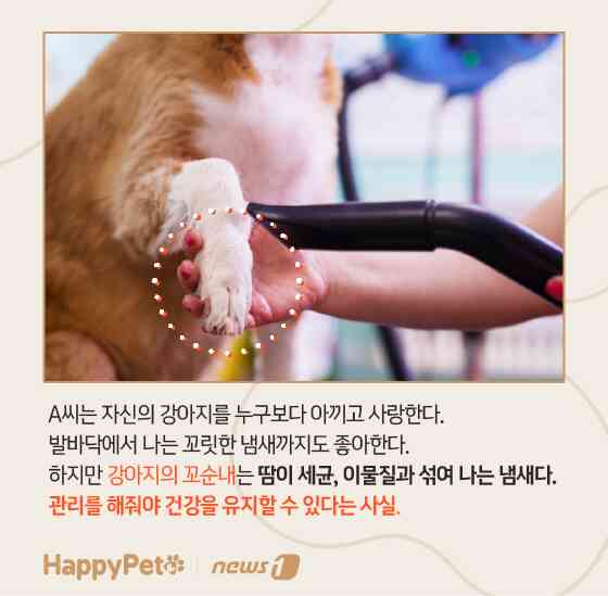 펫카드 발바닥