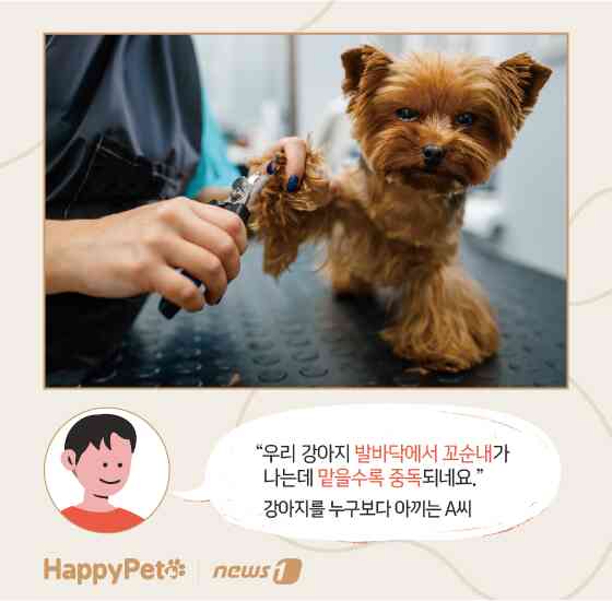 펫카드 발바닥