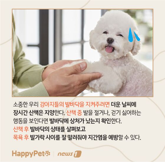 펫카드 발바닥