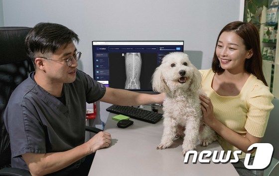 SKT 'AI 엑스칼리버 반려견 진단 범위 확대'