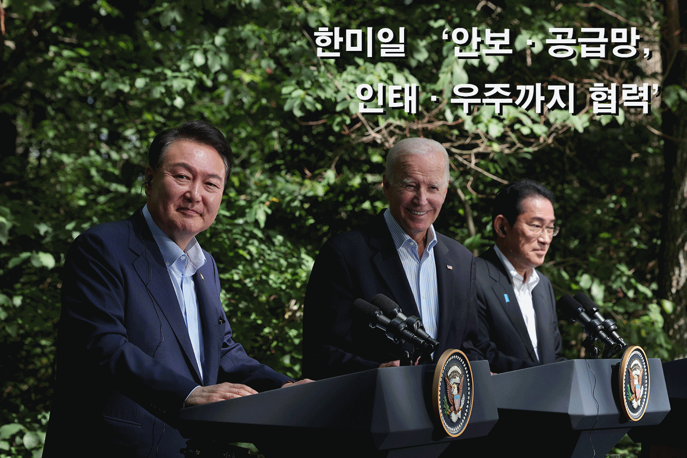 본문 이미지 -  