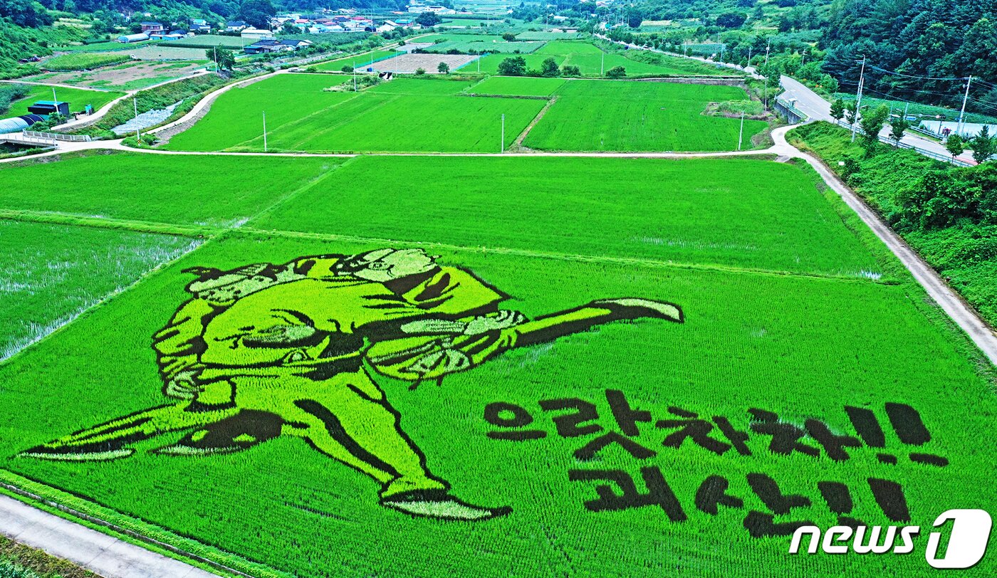 본문 이미지 - 충북 괴산 문광저수지 인근에 조성한 유색벼 논그림.(괴산군 제공)/뉴스1
