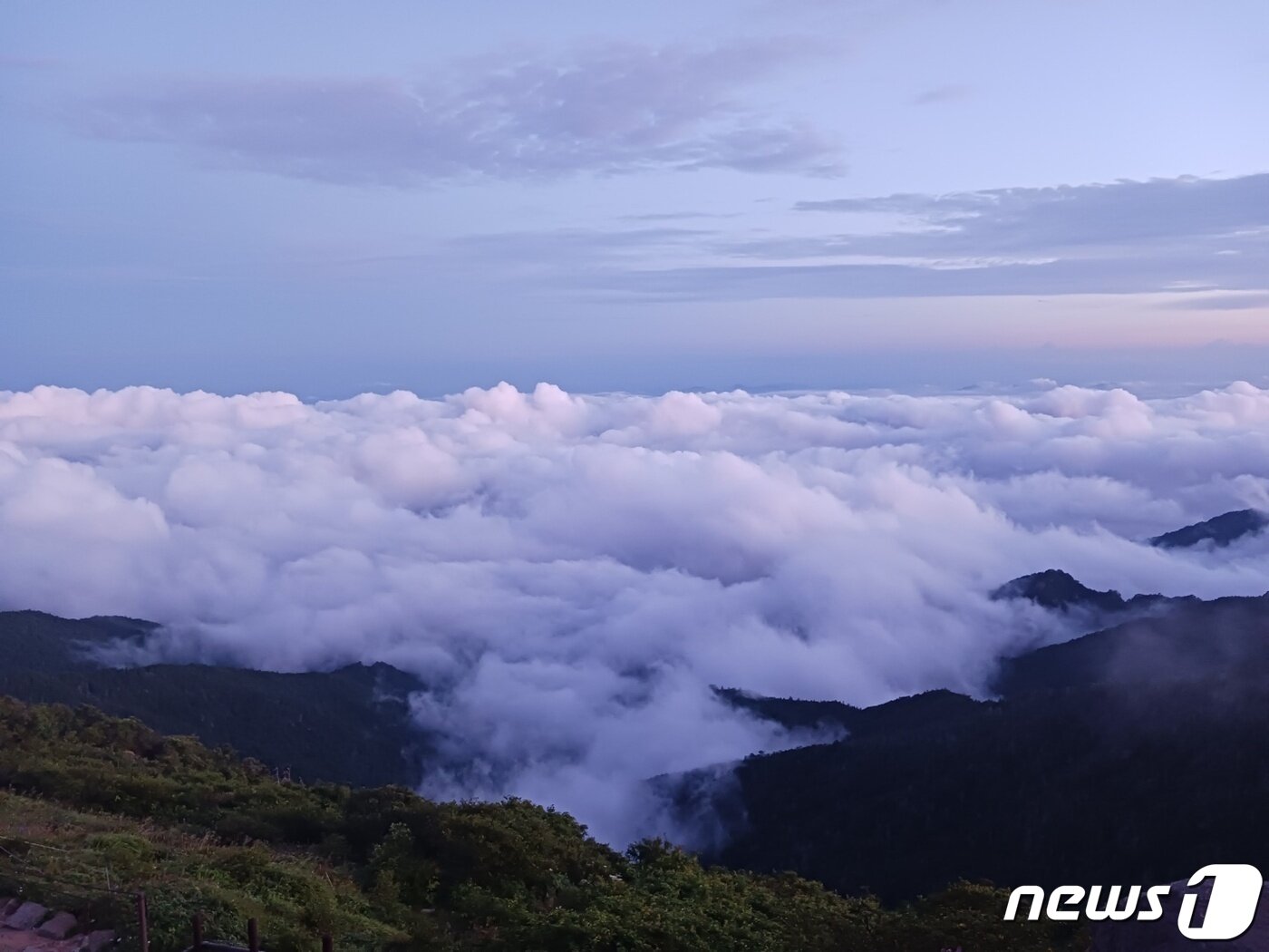 본문 이미지 - 지리산 동쪽은 일출로 붉게 물들어 가지만 서쪽은 하얀 운무가 덮인 또 다른 풍경이다. 천왕봉에서 바라본 능선과 계곡이 모두 잠겨있다. ⓒ 뉴스1