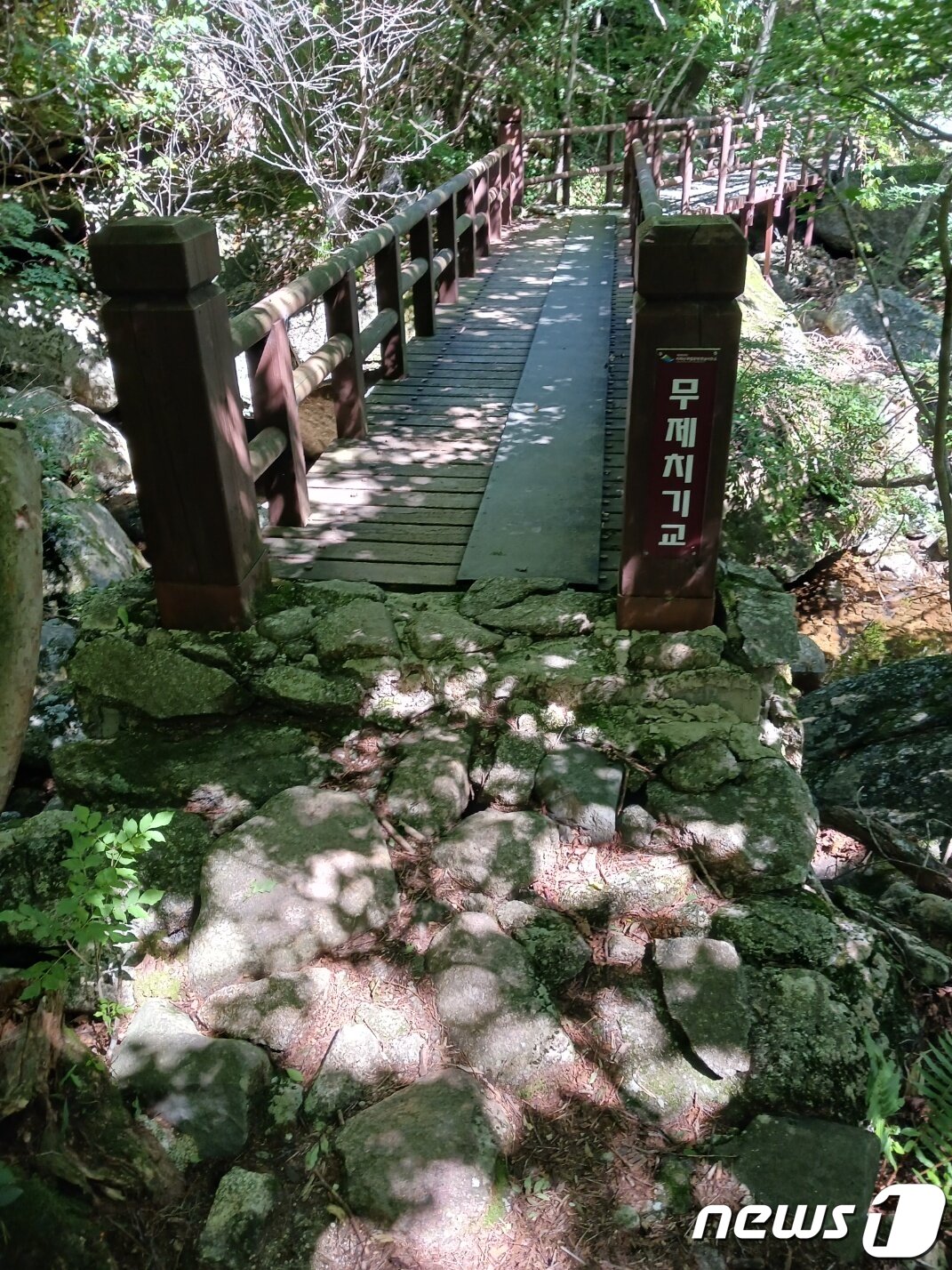 본문 이미지 - 무제치기교에 와서야 무제치기 폭포를 지나쳤음을 알았다. 치밭목 대피소~유평마을 구간은 곳곳에 데크와 작은 다리가 설치돼 부상의 위험을 줄여준다.ⓒ 뉴스1
