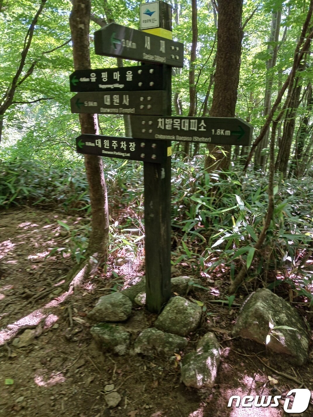 본문 이미지 - 유평마을과 새재로 갈라지는 삼거리. 공식적인 이름은 용수동삼거리이나 등반객들은 새재삼거리로 부른다. 왼편으로 고개를 올라가면 화전민 마을이었던 새재마을이 나온다.ⓒ 뉴스1