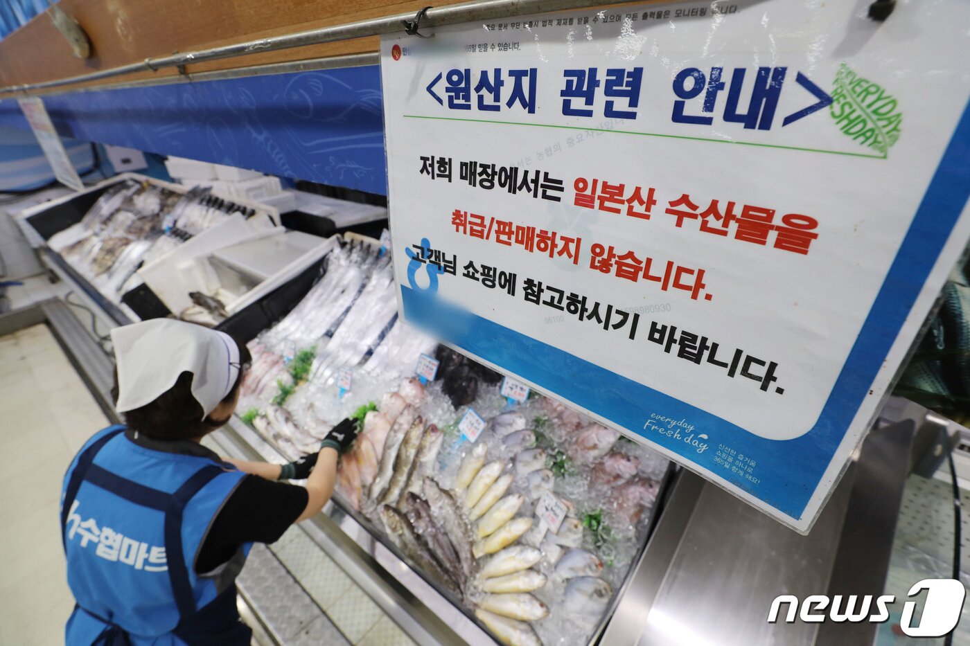 본문 이미지 - 일본 정부가 후쿠시마 제1 원자력발전소에 쌓인 방사능 오염수를 오는 24일부터 바다에 방류하기로 발표한 22일 오후 경기 수원시의 한 마트에 일본산 수산물을 취급, 판매하지 않는다는 문구가 붙어있다. 2023.8.22/뉴스1 ⓒ News1 김영운 기자