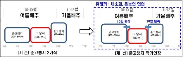 본문 이미지 - 농진청은 생산 한계에 다다른 고랭지 여름 배추 생산 문제를 근본적으로 해결하고 안정적인 공급을 뒷받침하기 위해 '유레카 프로젝트'의 하나로 '여름 배추 준고랭지(400~600m 재배지) 생산기술 개발'을 선정, 기술 개발에 주력하기로 했다.(농진청 제공)2023.8.23/뉴스1