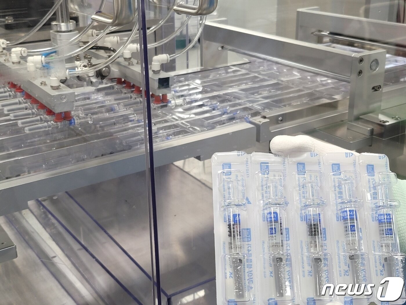 본문 이미지 - 22일 스카이셀플루 완제공정 중 비닐포장 공정. 2023.08.22/뉴스1 ⓒ News1 황진중 기자