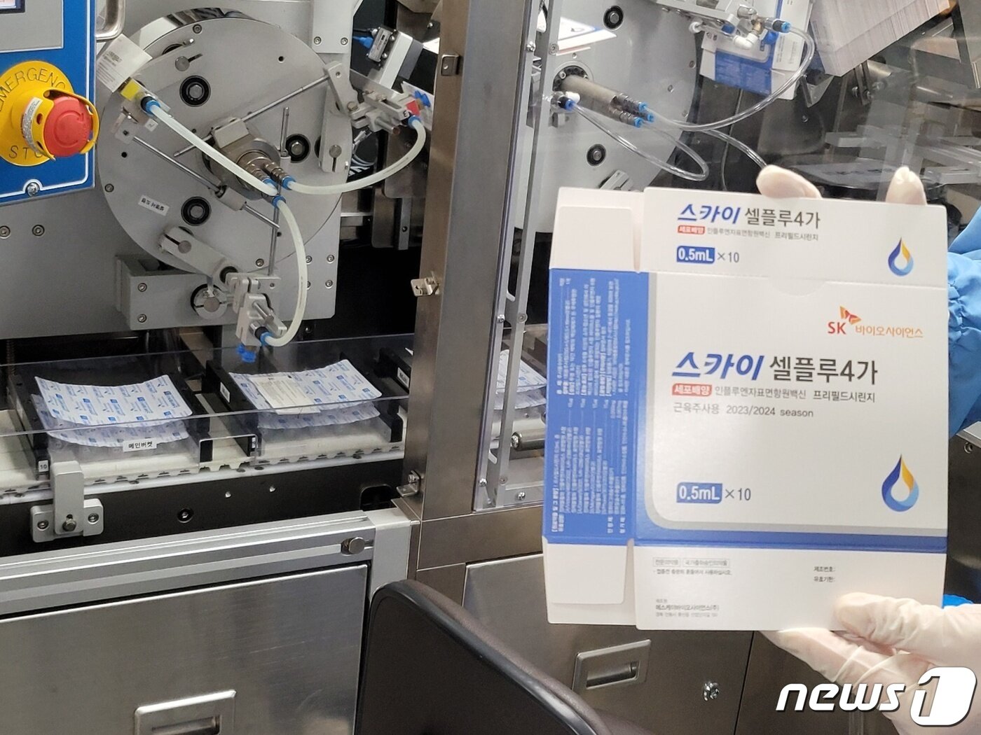 본문 이미지 - 스카이셀플루 완제 공정 중 박스포장 공정. 2023.08.22/뉴스1 ⓒ News1 황진중 기자