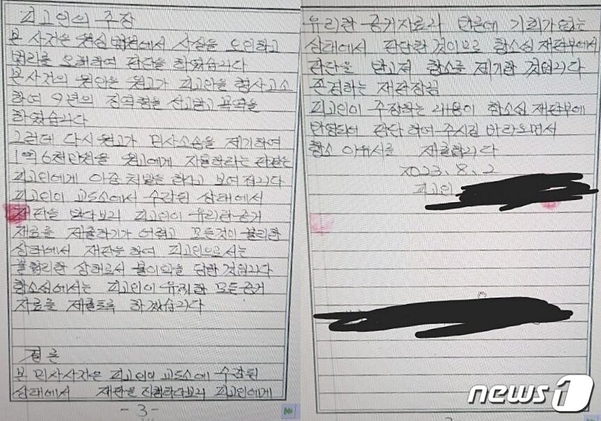 본문 이미지 - 친부의 항소이유서. ('보배드림' 갈무리)