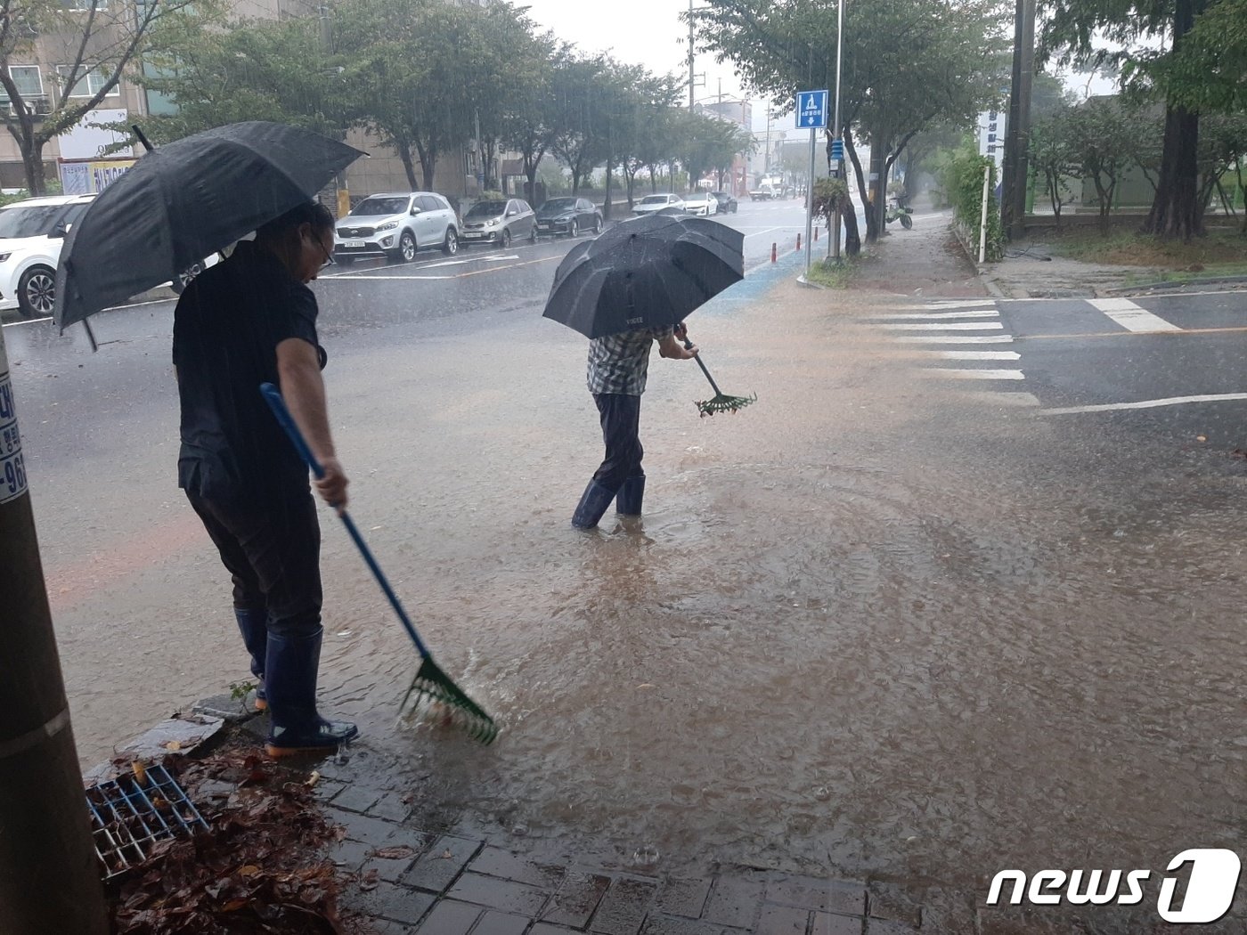 23일 전남 영광군 영광읍 생활체육공원 인근 도로 배수로가 호우로 막혀 거 관계자들이 이물질을 제거하고 있다.&#40;영광군 제공&#41;2023.8.23./뉴스1 ⓒ News1