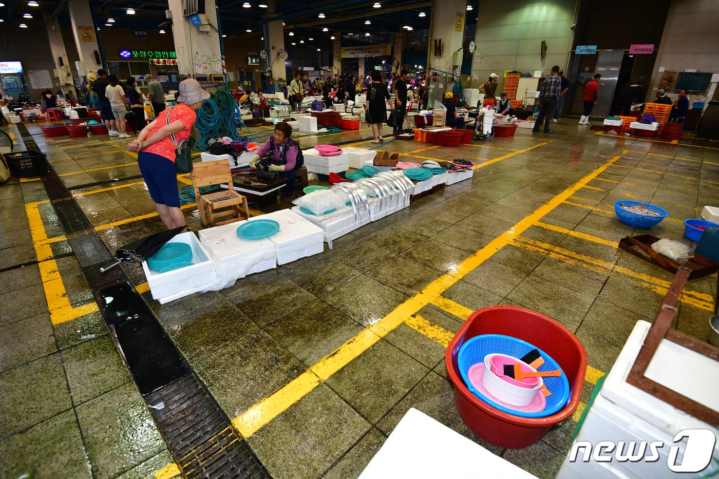 본문 이미지 - 일본 정부가 원전 오염수 방류 결정을 내린 24일 오전 경북 동해안 최대 어시장인 포항죽도어시장이 평소와 달리 손님들의 발길이 줄어든 모습이다. 노란색으로 표시된 좌판 구역이 텅비어 있다.2023.8.24/뉴스1 ⓒ News1 최창호 기자