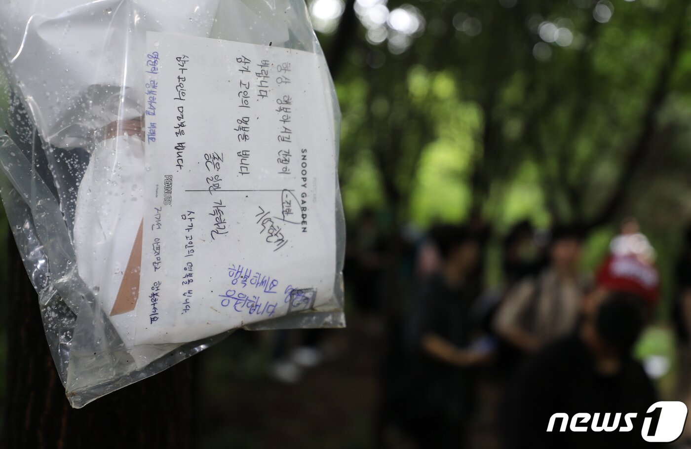본문 이미지 - 24일 오전 서울 관악구 목골산 둘레길 여성살해 사건 발생 장소에 피해자를 추모하는 엽서가 걸려 있다. 2023.8.24/뉴스1 ⓒ News1 김진환 기자