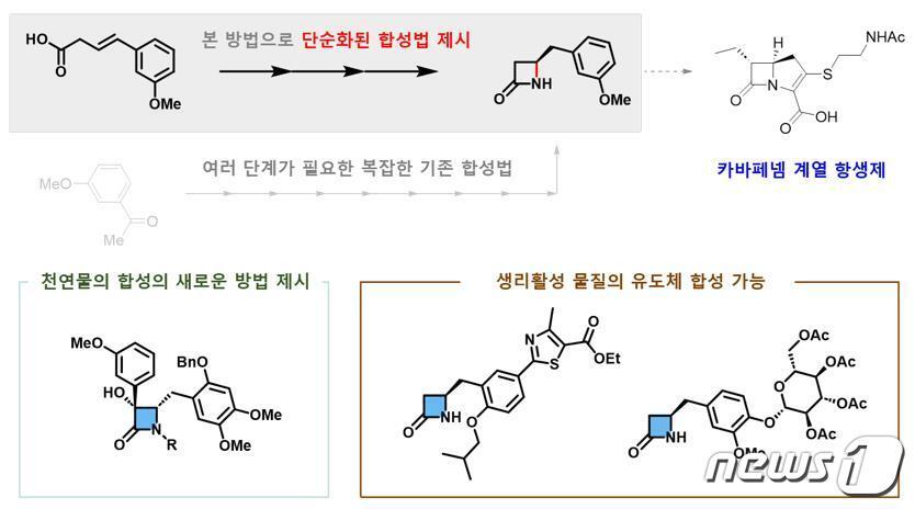본문 이미지 - 카이랄 베타-락탐 합성법의 응용.&#40;IBS 제공&#41;/뉴스1