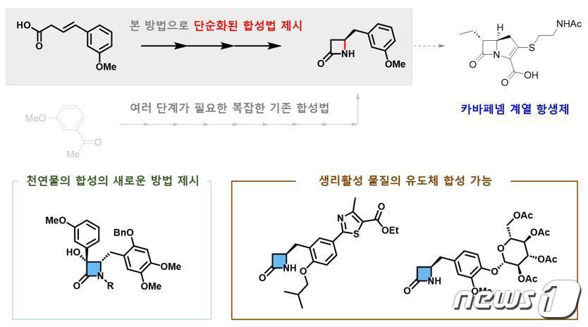 카이랄 베타-락탐 합성법의 응용.&#40;IBS 제공&#41;/뉴스1