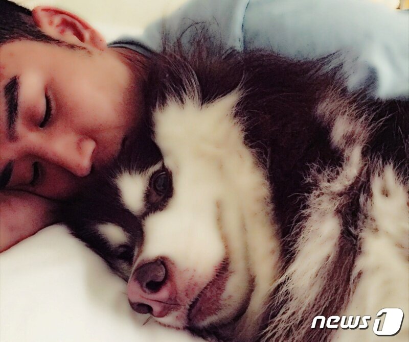 본문 이미지 - 더셈펫바이오 강도한 대표와 말라뮤트 ⓒ 뉴스1