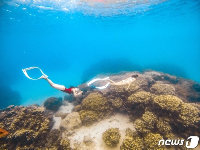 본문 이미지 - (사진제공=괌정부관광청) 